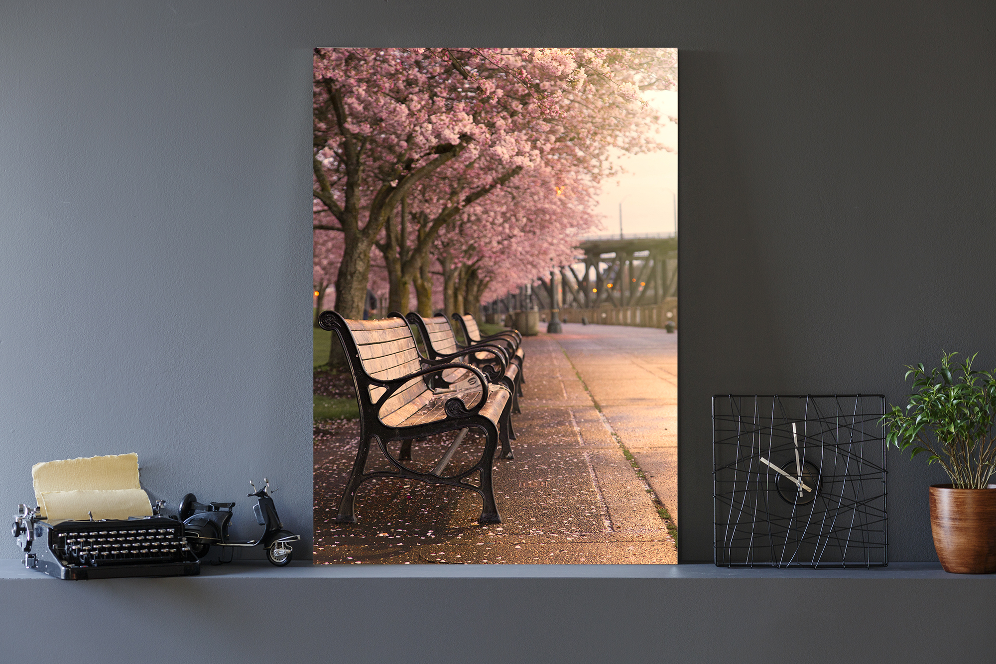 Cherry Blossom, Jersey Wood Print by Alan lagadu 