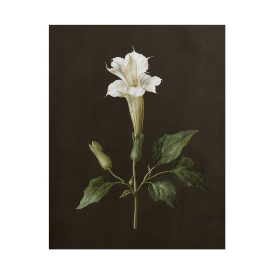 Elegant Floral Wall Art Print, Vintage Flower Decor, Home Aesthetic, Gift for Nature Lovers, Boho Style Wall Decor, Modern Botanical Art Set of 4