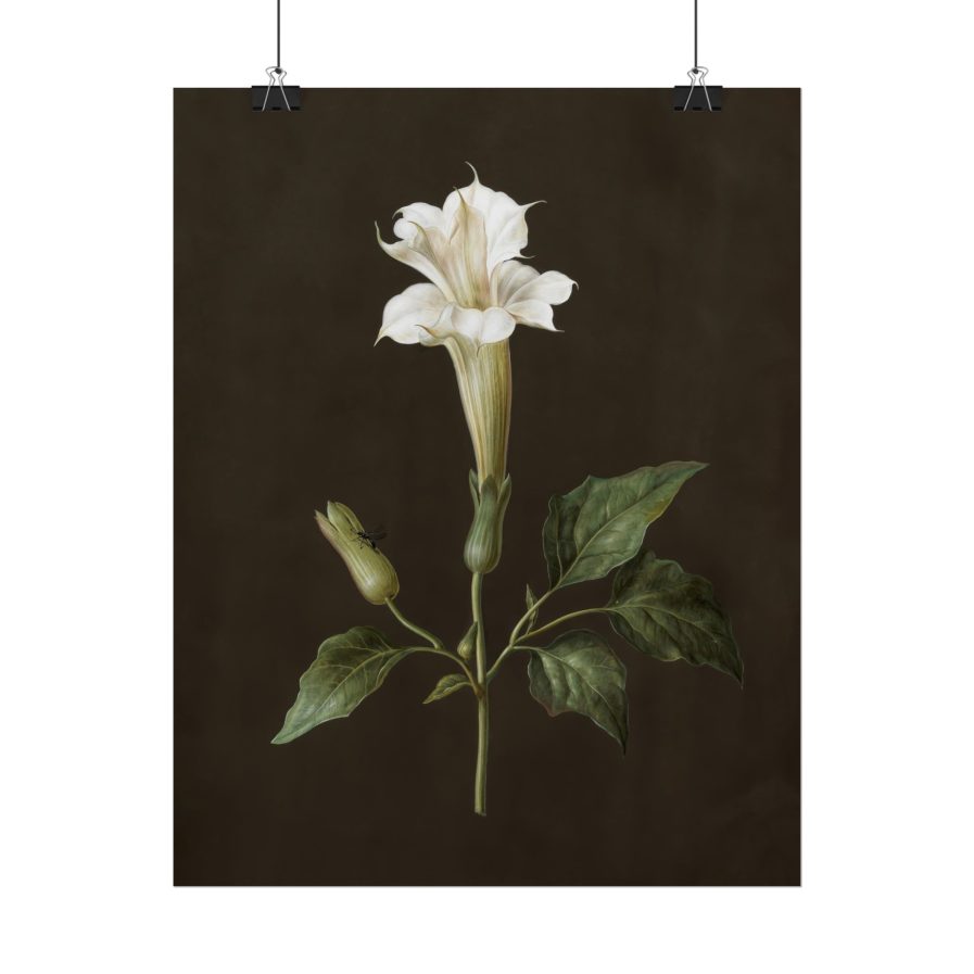 Elegant Floral Wall Art Print, Vintage Flower Decor, Home Aesthetic, Gift for Nature Lovers, Boho Style Wall Decor, Modern Botanical Art Set of 4 - Image 6
