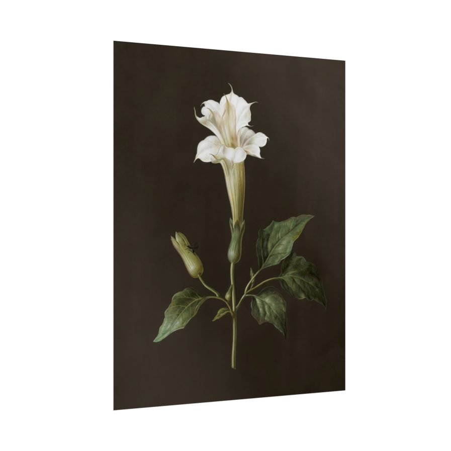 Elegant Floral Wall Art Print, Vintage Flower Decor, Home Aesthetic, Gift for Nature Lovers, Boho Style Wall Decor, Modern Botanical Art Set of 4 - Image 7
